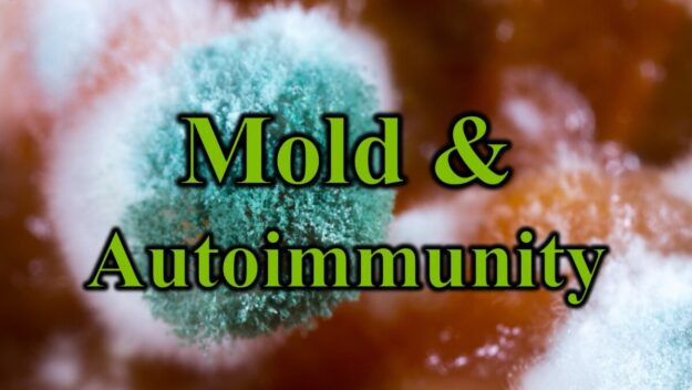 Mold & Autoimmunity