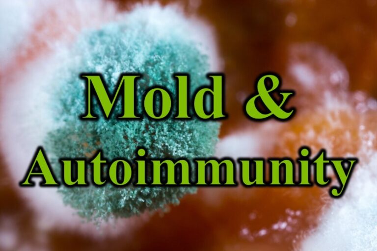 Mold & Autoimmunity