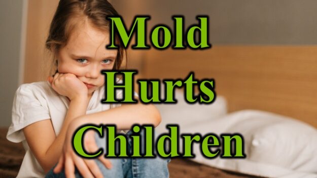 Mold Hurts Children