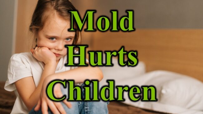 Mold Hurts Children