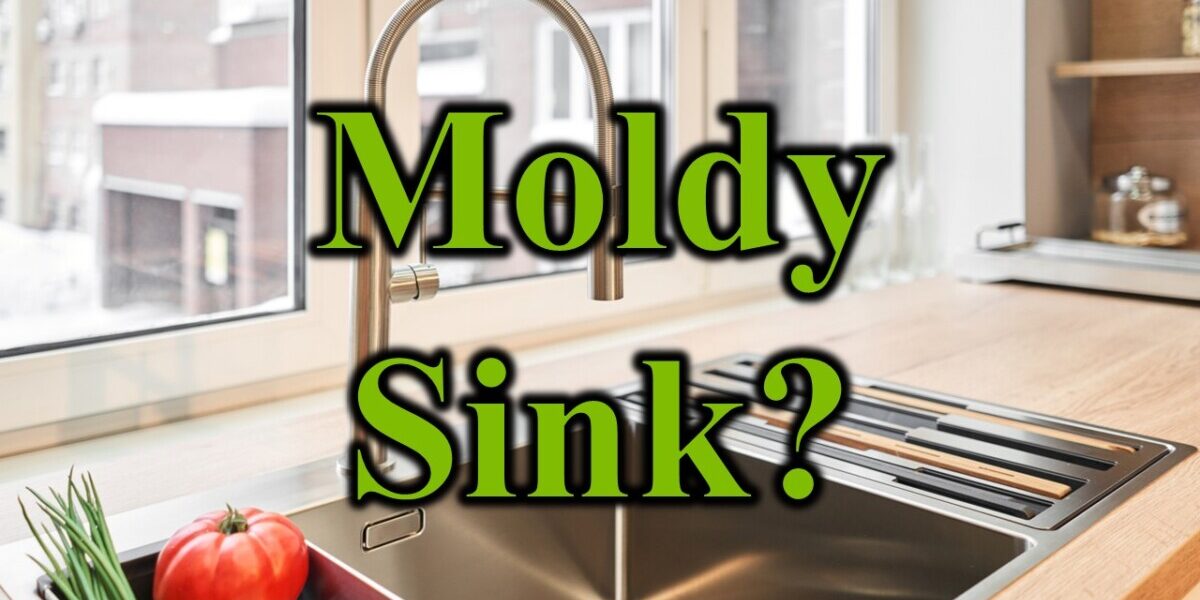 Moldy Sink