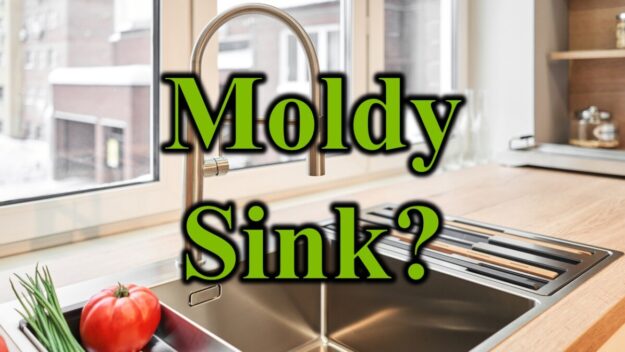 Moldy Sink