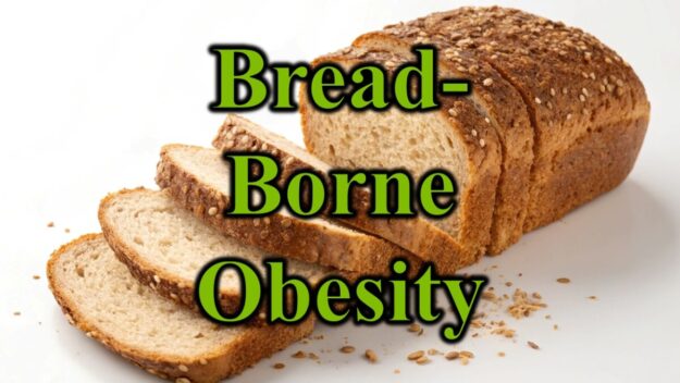 Bread Borne Obesity