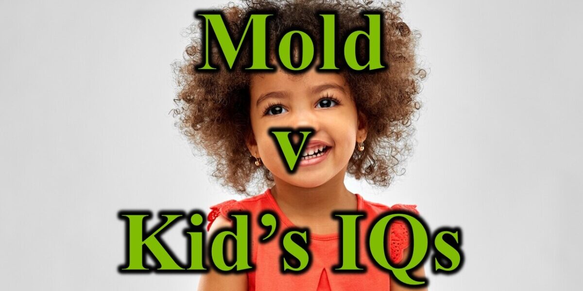 Mold V Kids IQs