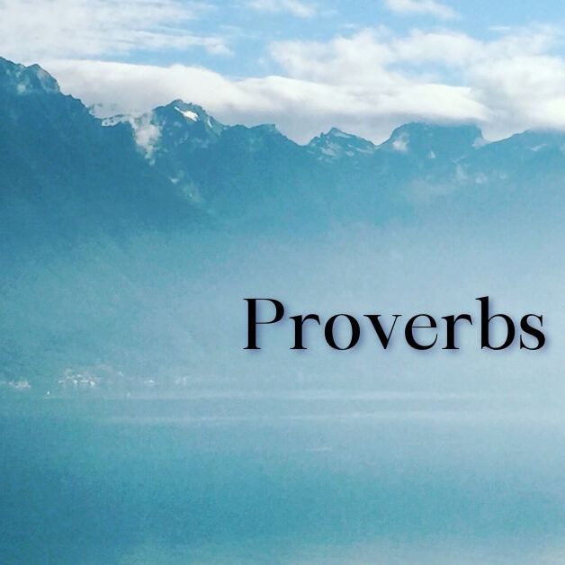 Prov 20 1