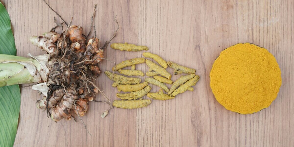 turmeric powder