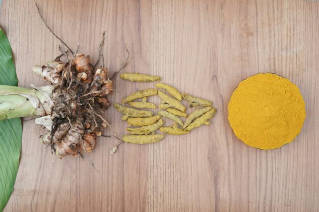 turmeric powder turmeric powder