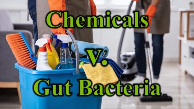 Chemicals v Gut Bacteria