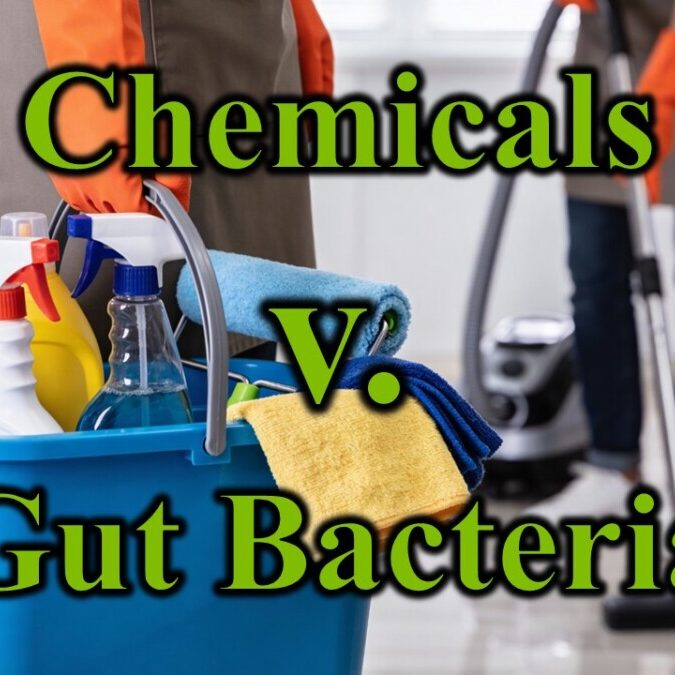 Chemicals v Gut Bacteria