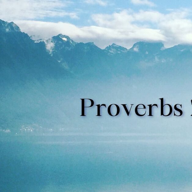 Prov 20 5