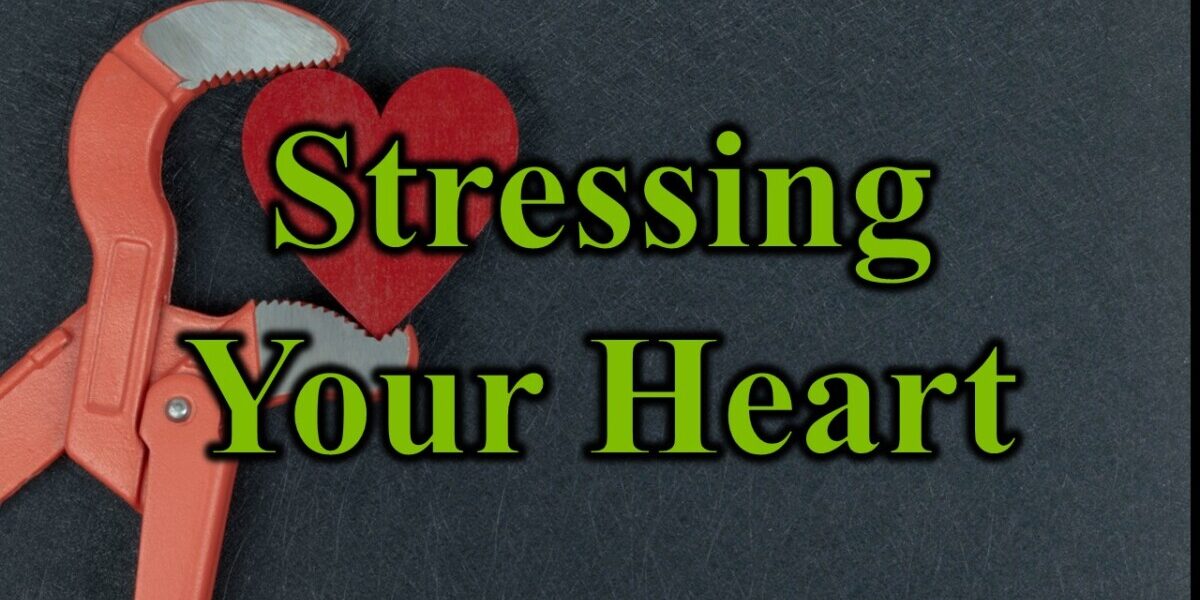 Stressing Your Heart