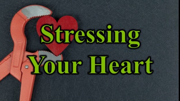 Stressing Your Heart