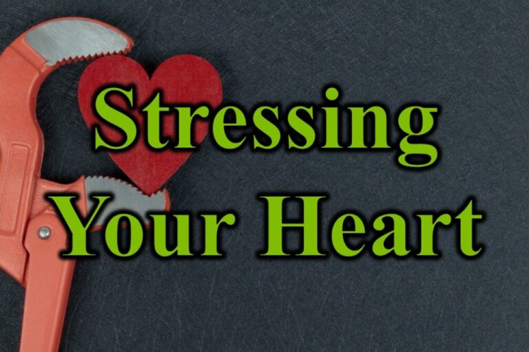 Stressing Your Heart